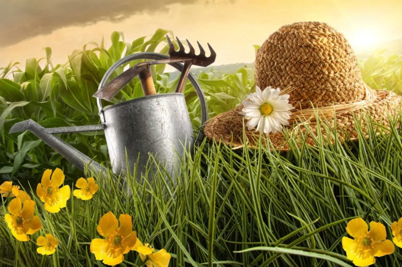 2942_f2fe68c12046efdcffc5e7107cc5cae3