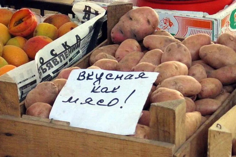 3869_aaf35d4a961dfe500ac2b9bcf6e7e0ca