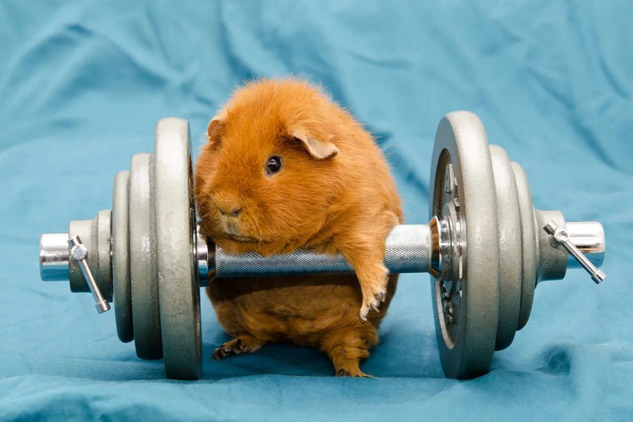 3878_9dd67e3abe12f22132f20b252f5a0b97437cb8fd3410536005f71cdb36c9244b