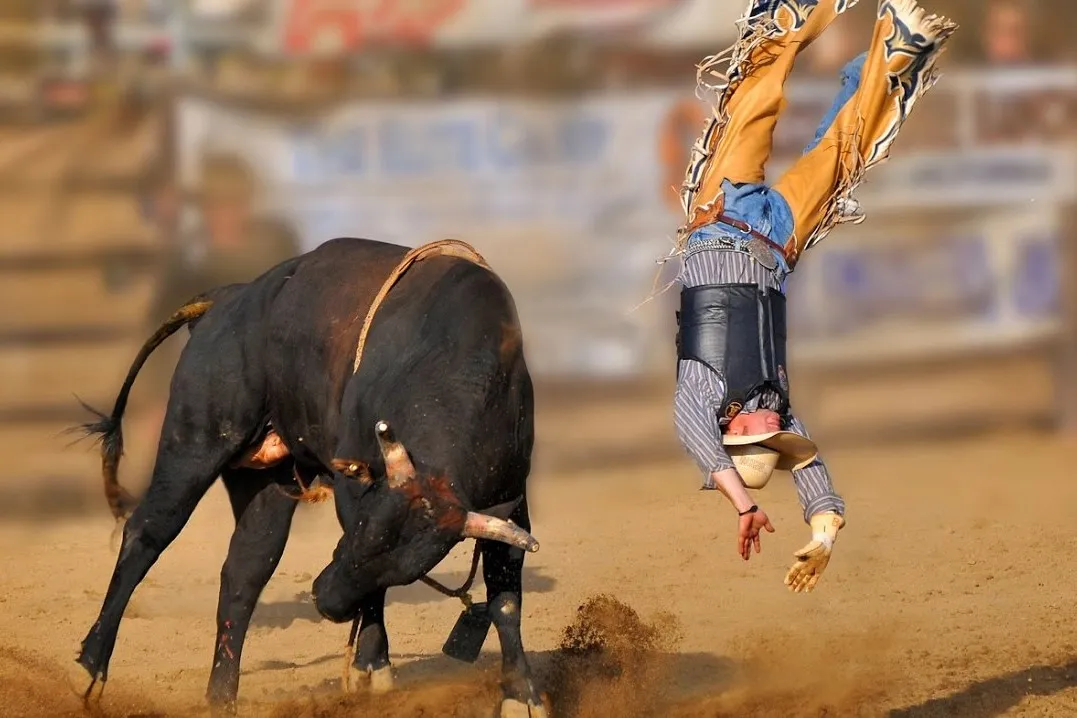 4516_maxresdefault-1