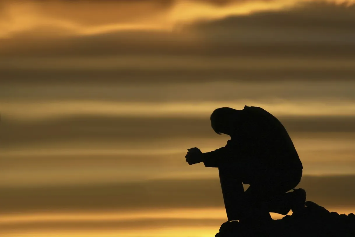 4885_image_2019_11_21t06_55_00_847z