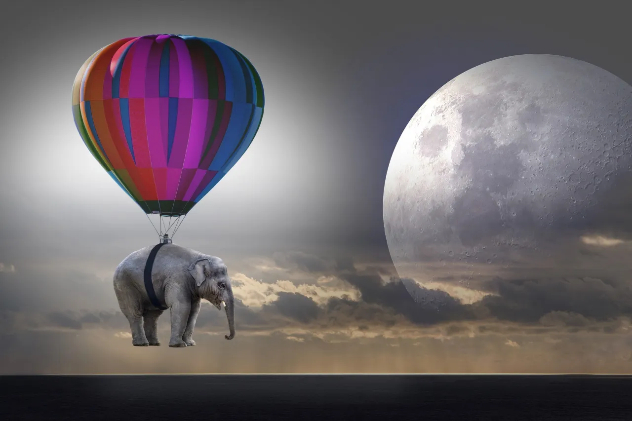 6170_horoscop-weekend-sfatulparintilor-ro-pixabay-com-elephant-2611677