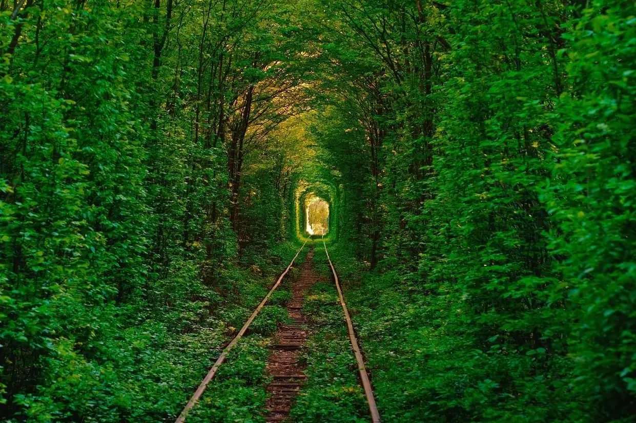 6818_image-17-02-20-11-11-5