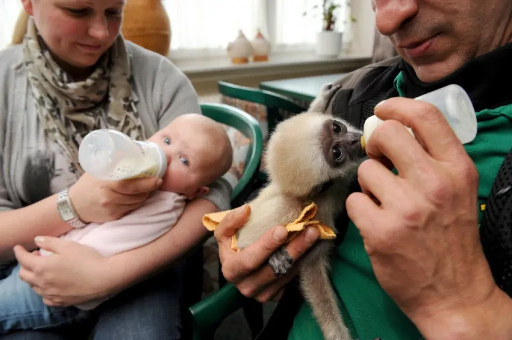 6857_image_2020_02_20t06_57_27_561z