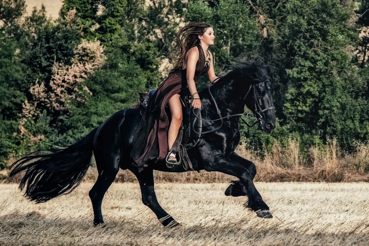 7360_aaa96c4a-18ef-4120-901d-780381f81884