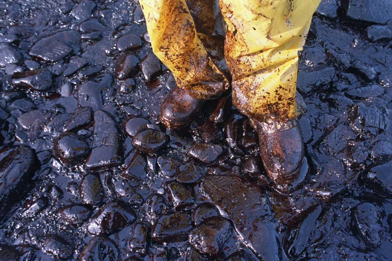 7624_ff7793f6-855f-44a2-9640-10022821bb2f